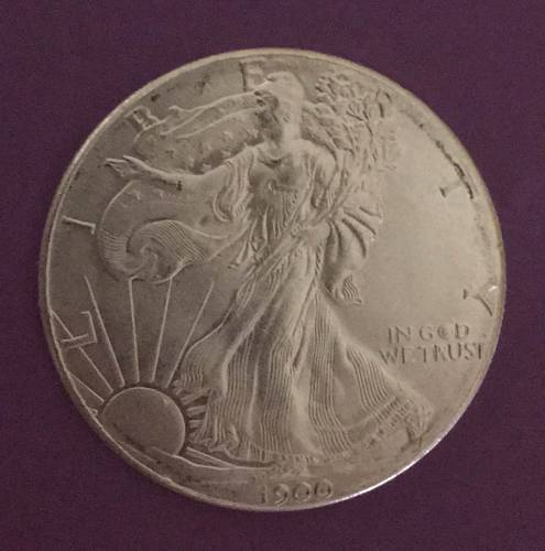 Fine silver dollar, coin yr. 1900, walking liberty.